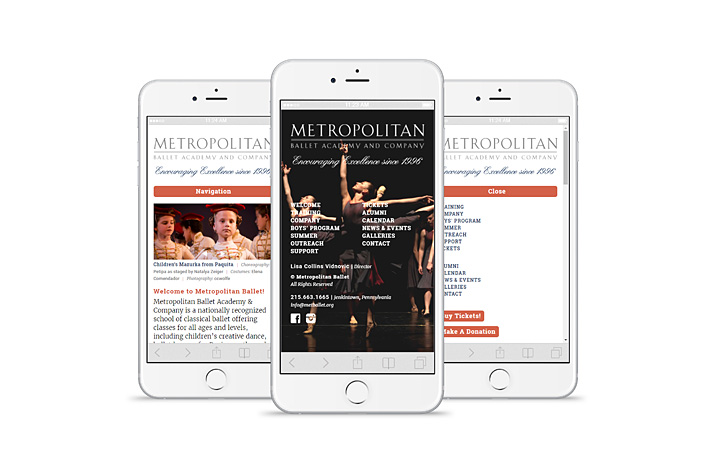 Metropolitan Ballet Academy & Company Website - 3